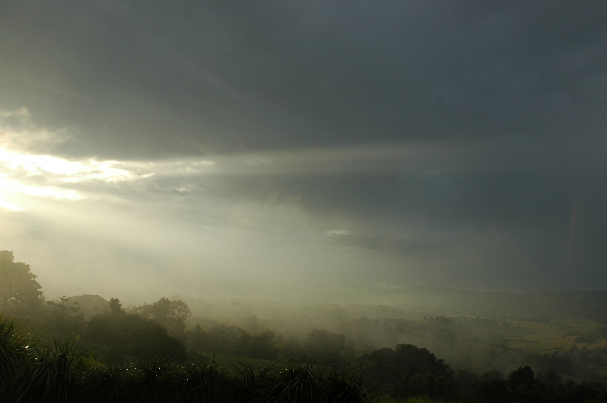 fogmist fog_mist_frost : McLeans Ridges, NSW   30 April 2006