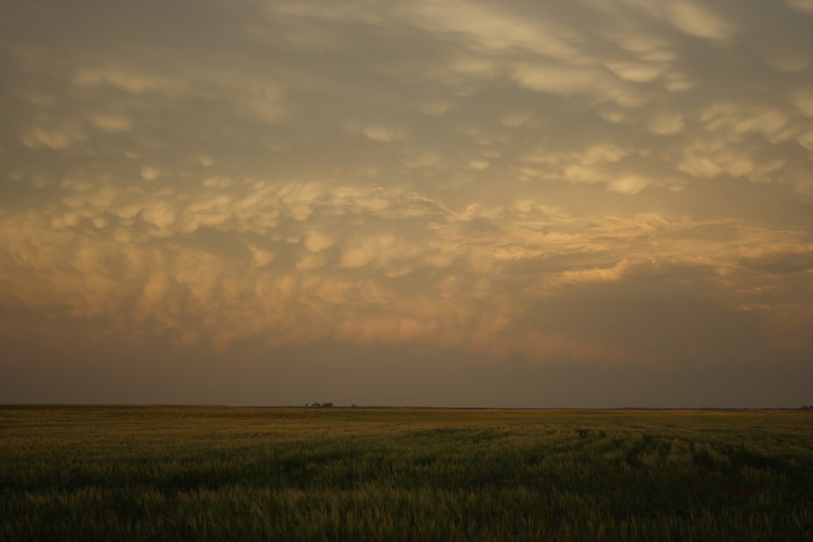 mammatus mammatus_cloud : SW of Childress, Texas, USA   2 May 2006