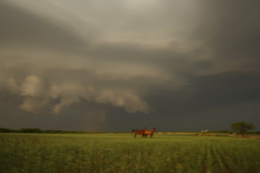 wallcloud thunderstorm_wall_cloud : Jayton, Texas, USA   3 May 2006