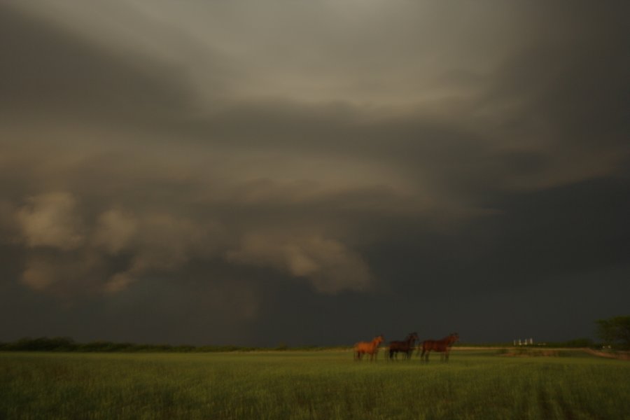 cumulonimbus thunderstorm_base : Jayton, Texas, USA   3 May 2006