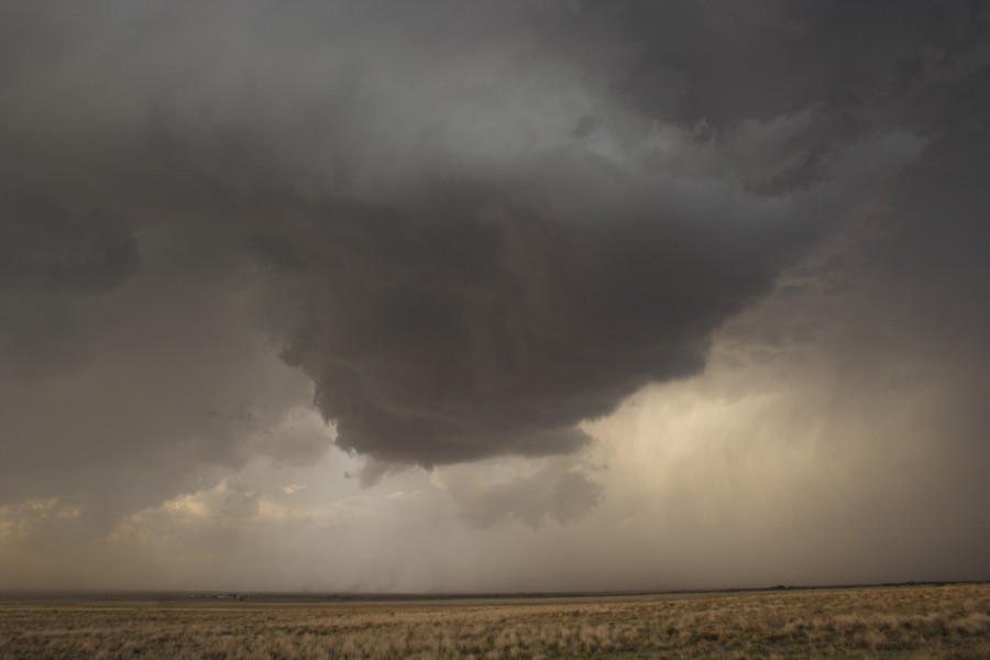 wallcloud thunderstorm_wall_cloud : Patricia, Texas, USA   5 May 2006