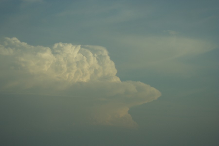 thunderstorm cumulonimbus_incus : S of Lamesa, Texas, USA   7 May 2006