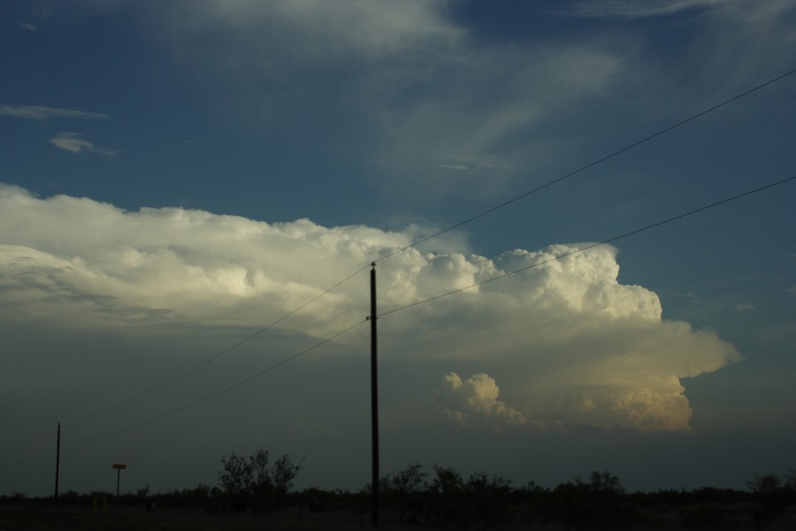 thunderstorm cumulonimbus_incus : S of Lamesa, Texas, USA   7 May 2006