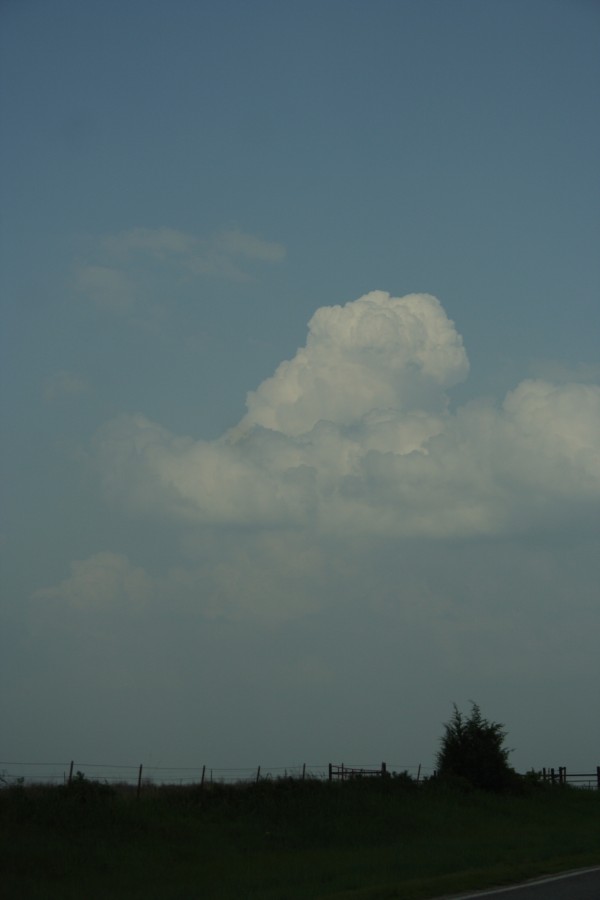 thunderstorm cumulonimbus_calvus : McAlester, Oklahoma, USA   9 May 2006