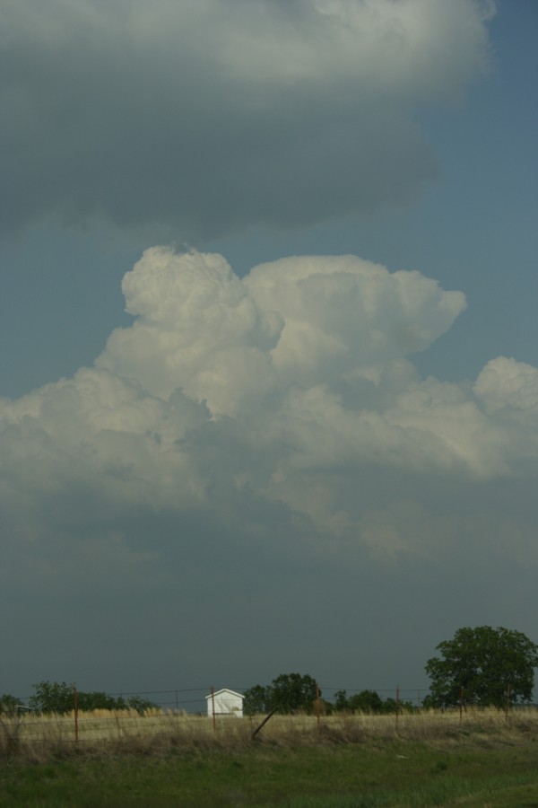 thunderstorm cumulonimbus_calvus : McAlester, Oklahoma, USA   9 May 2006