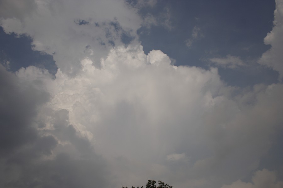 thunderstorm cumulonimbus_incus : McAlester, Oklahoma, USA   9 May 2006