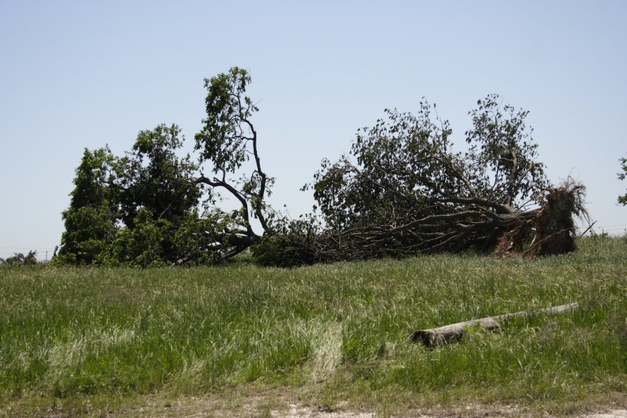 disasters storm_damage : Westminster, Texas, USA   12 May 2006