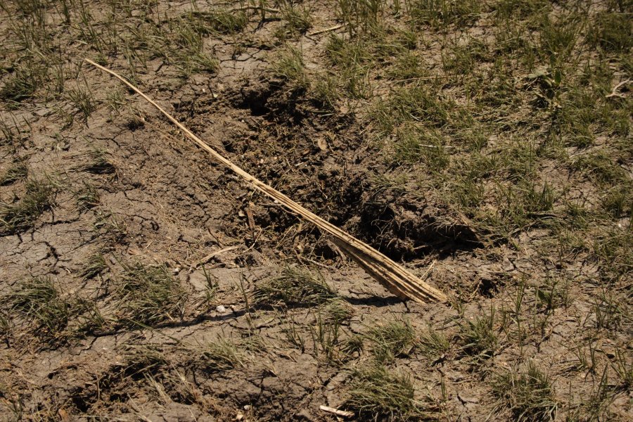 disasters storm_damage : Westminster, Texas, USA   12 May 2006