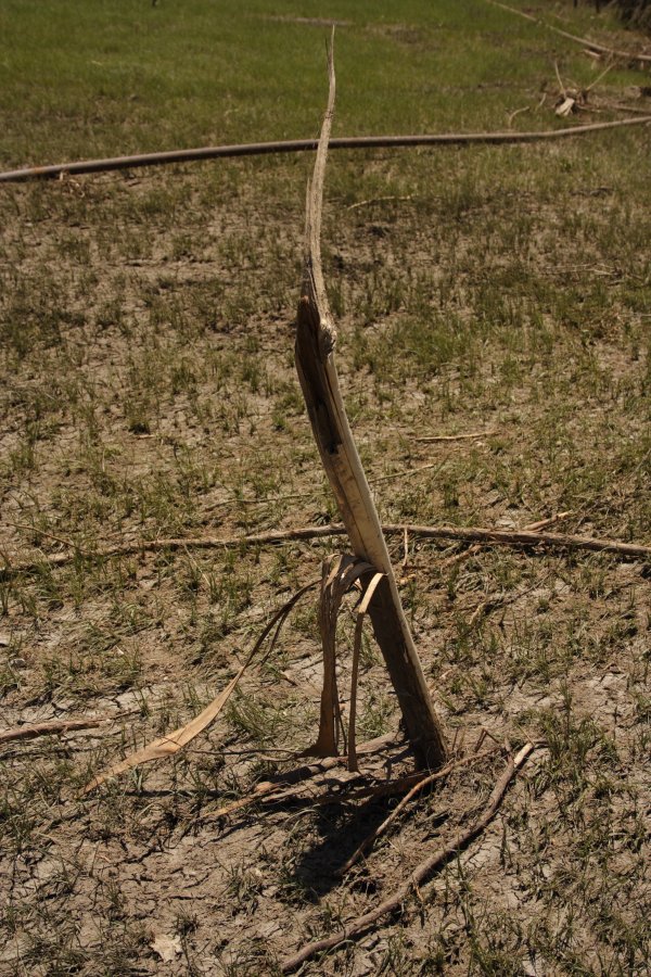 disasters storm_damage : Westminster, Texas, USA   12 May 2006