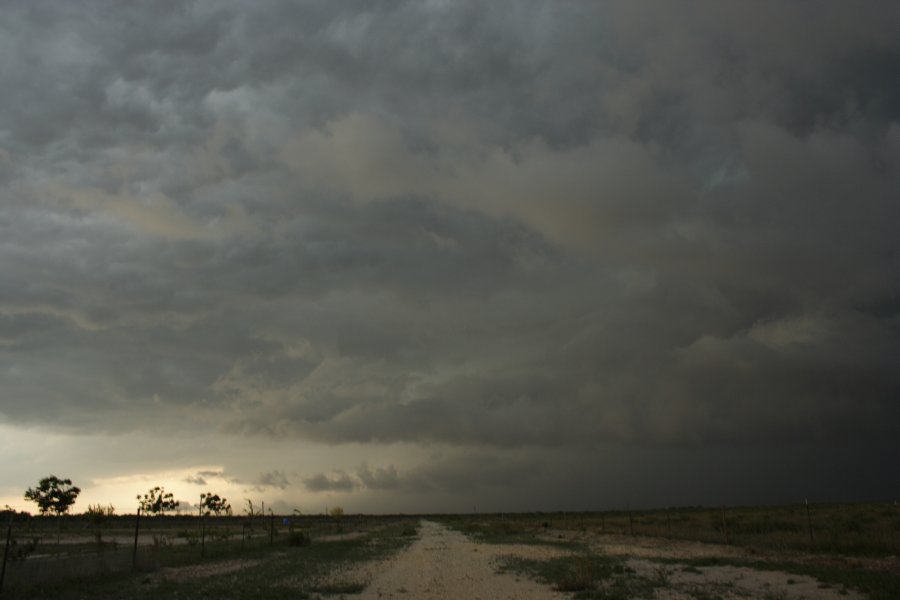 cumulonimbus thunderstorm_base : Del Rio, Texas, USA   14 May 2006