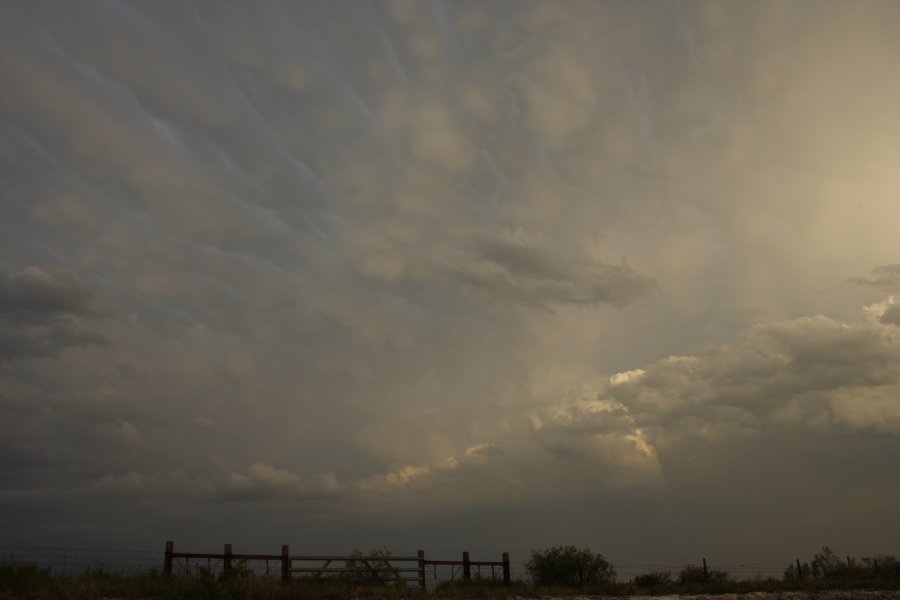 mammatus mammatus_cloud : Del Rio, Texas, USA   14 May 2006