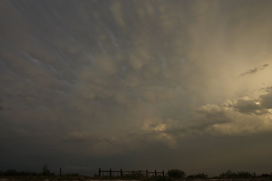 mammatus mammatus_cloud : Del Rio, Texas, USA   14 May 2006