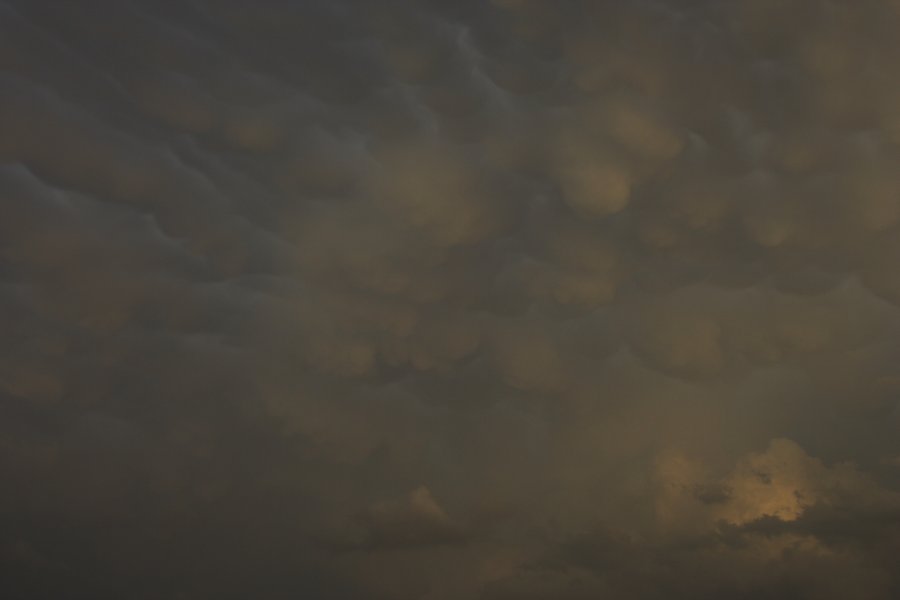 mammatus mammatus_cloud : Del Rio, Texas, USA   14 May 2006