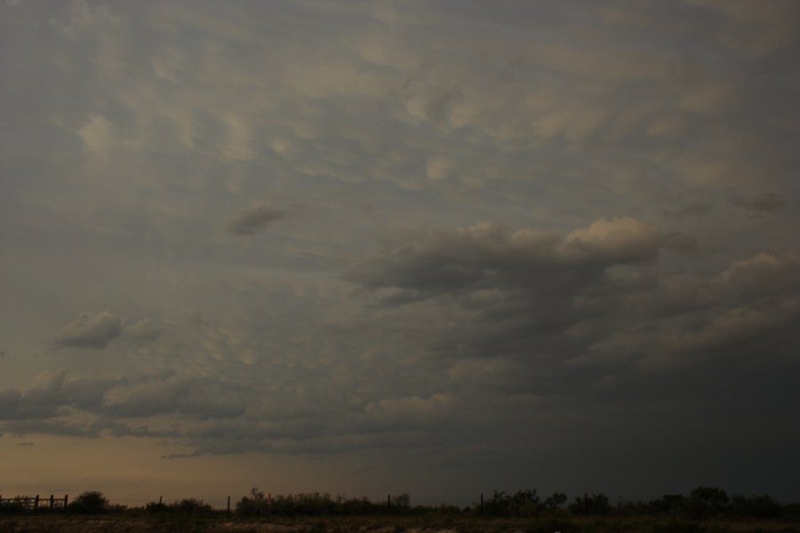 mammatus mammatus_cloud : Del Rio, Texas, USA   14 May 2006