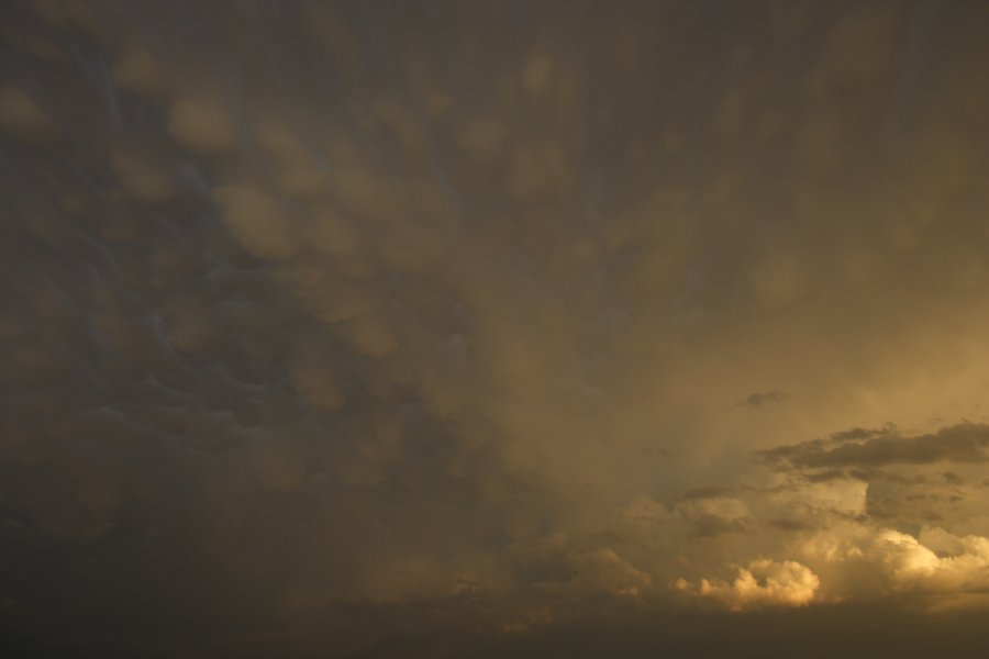 mammatus mammatus_cloud : Del Rio, Texas, USA   14 May 2006