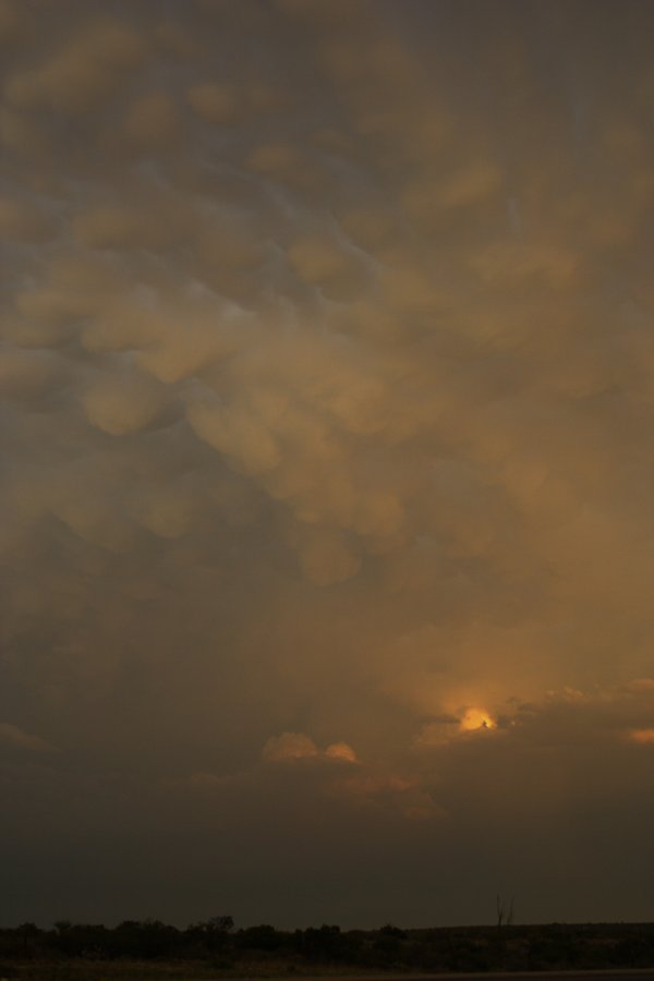 mammatus mammatus_cloud : Del Rio, Texas, USA   14 May 2006