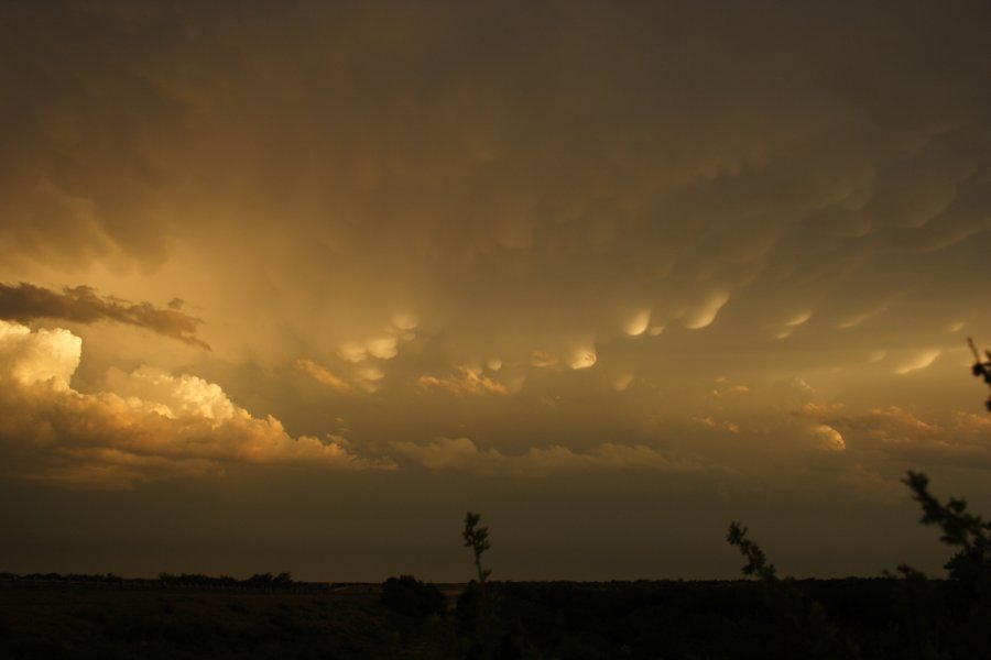 mammatus mammatus_cloud : Del Rio, Texas, USA   14 May 2006