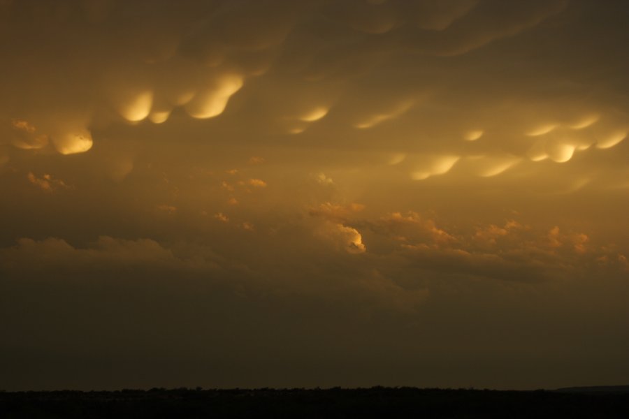 mammatus mammatus_cloud : Del Rio, Texas, USA   14 May 2006