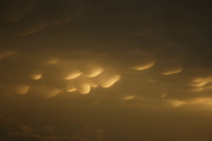 mammatus mammatus_cloud : Del Rio, Texas, USA   14 May 2006