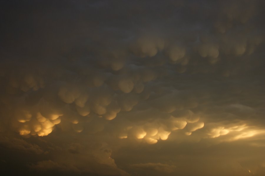 mammatus mammatus_cloud : Del Rio, Texas, USA   14 May 2006