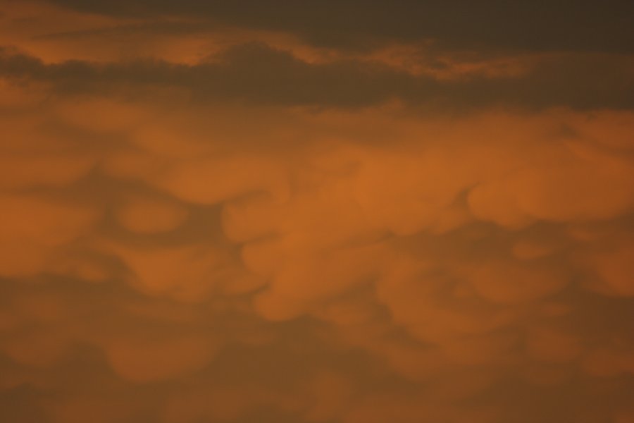 mammatus mammatus_cloud : Del Rio, Texas, USA   14 May 2006