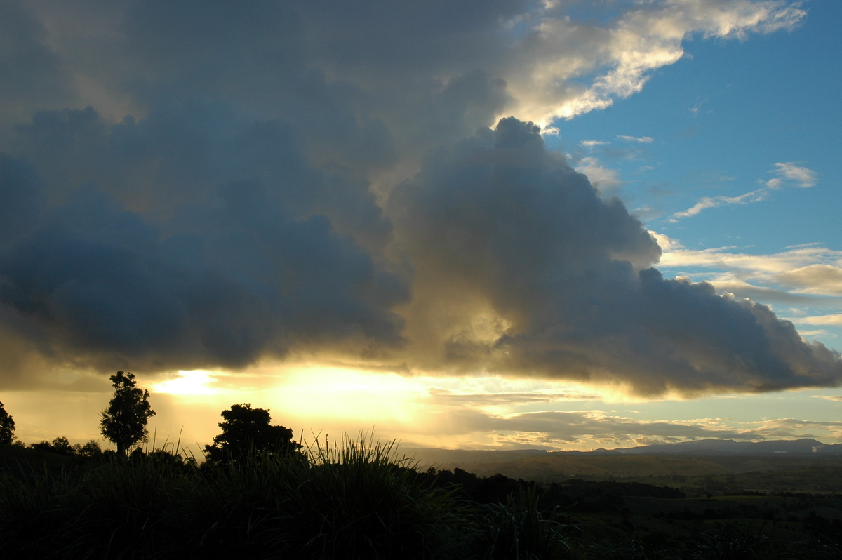 cumulus mediocris : McLeans Ridges, NSW   17 May 2006