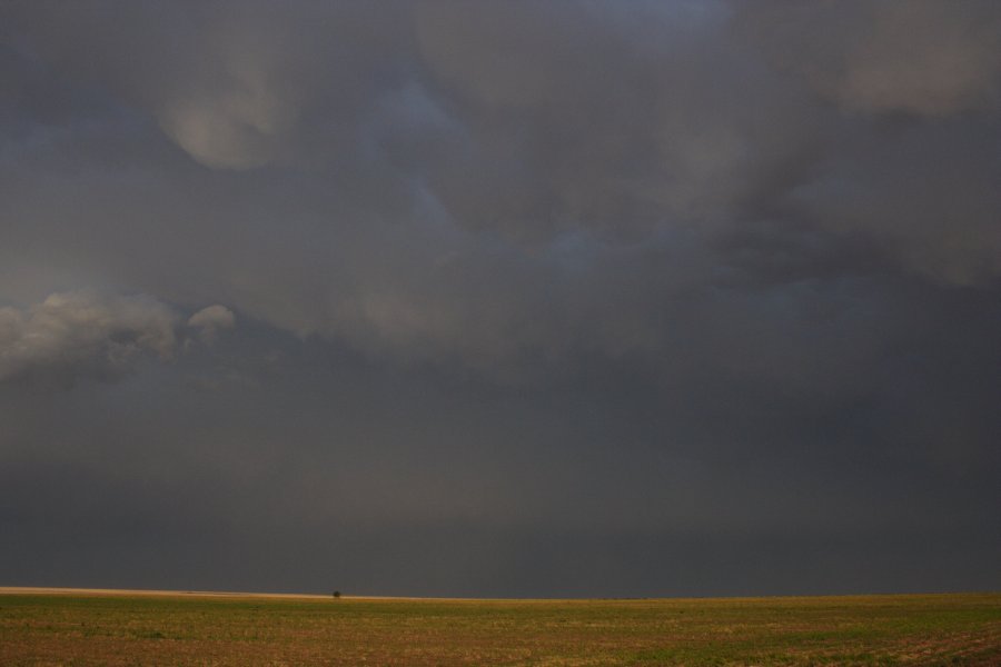 mammatus mammatus_cloud : N of Stinnett, Texas, USA   21 May 2006