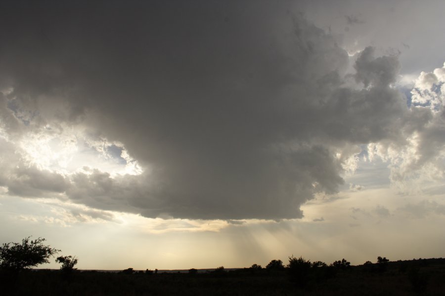 thunderstorm cumulonimbus_incus : near Woodward, Oklahoma, USA   25 May 2006