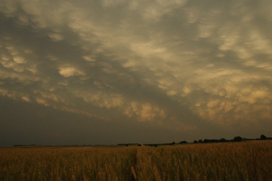 sunset sunset_pictures : SE of Kinsley, Kansas, USA   29 May 2006