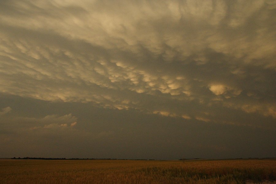 mammatus mammatus_cloud : SE of Kinsley, Kansas, USA   29 May 2006