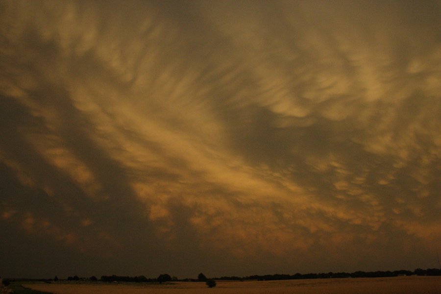 mammatus mammatus_cloud : SE of Kinsley, Kansas, USA   29 May 2006