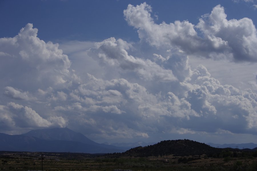 cumulus congestus : Pueblo, Colorado, USA   1 June 2006