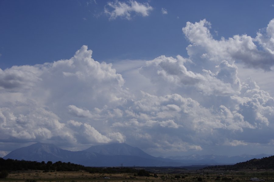 cumulus mediocris : Pueblo, Colorado, USA   1 June 2006