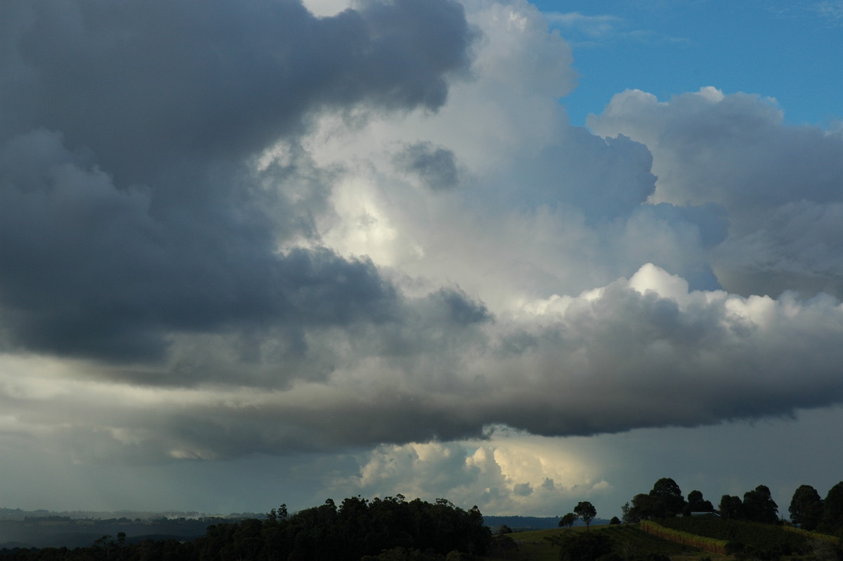 cumulus congestus : McLeans Ridges, NSW   7 June 2006