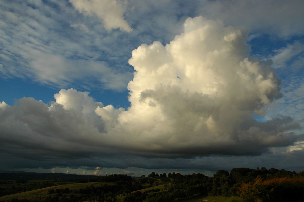 cumulus congestus : McLeans Ridges, NSW   7 June 2006