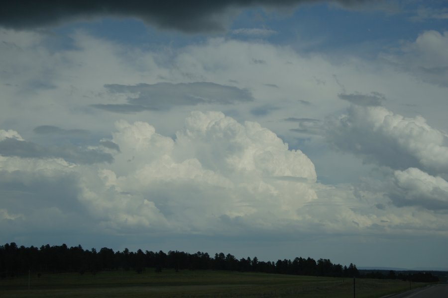 thunderstorm cumulonimbus_calvus : NW of Newcastle, Wyoming, USA   9 June 2006