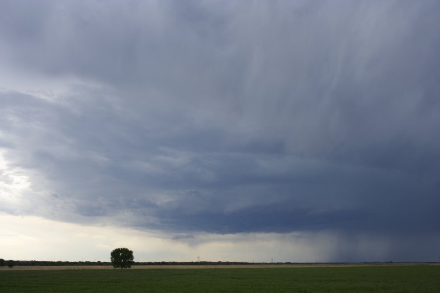 cumulonimbus thunderstorm_base : Scottsbluff, Nebraska, USA   10 June 2006