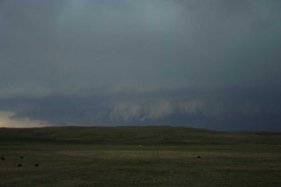 cumulonimbus supercell_thunderstorm : N of Authur, Nebraska, USA   10 June 2006