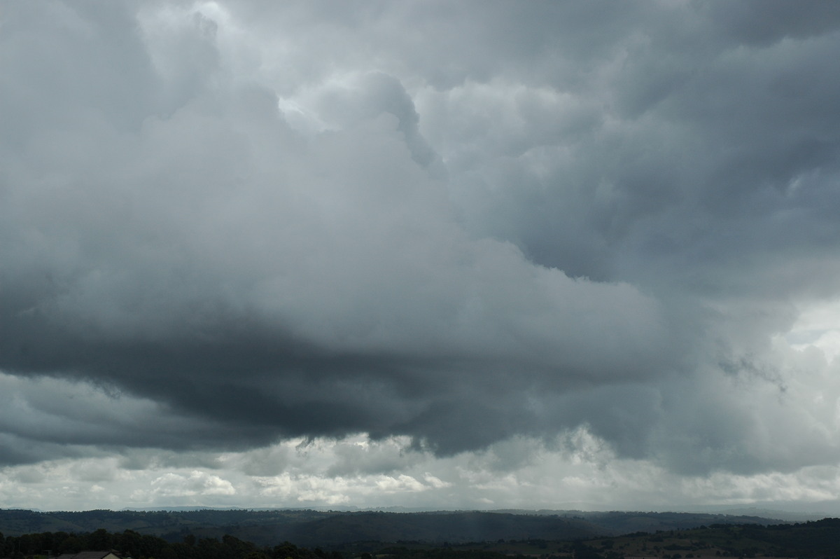 cumulus congestus : McLeans Ridges, NSW   22 June 2006