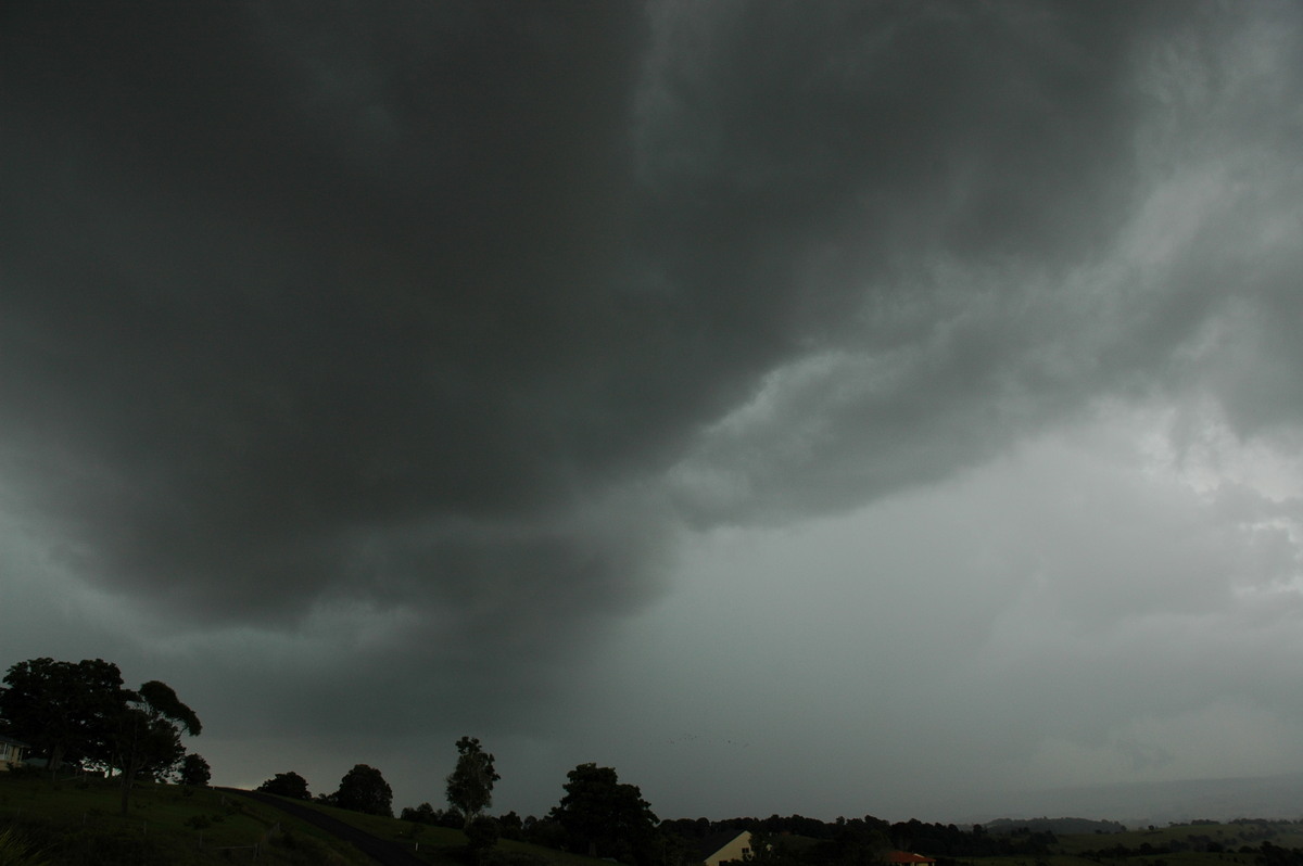 raincascade precipitation_cascade : McLeans Ridges, NSW   24 June 2006