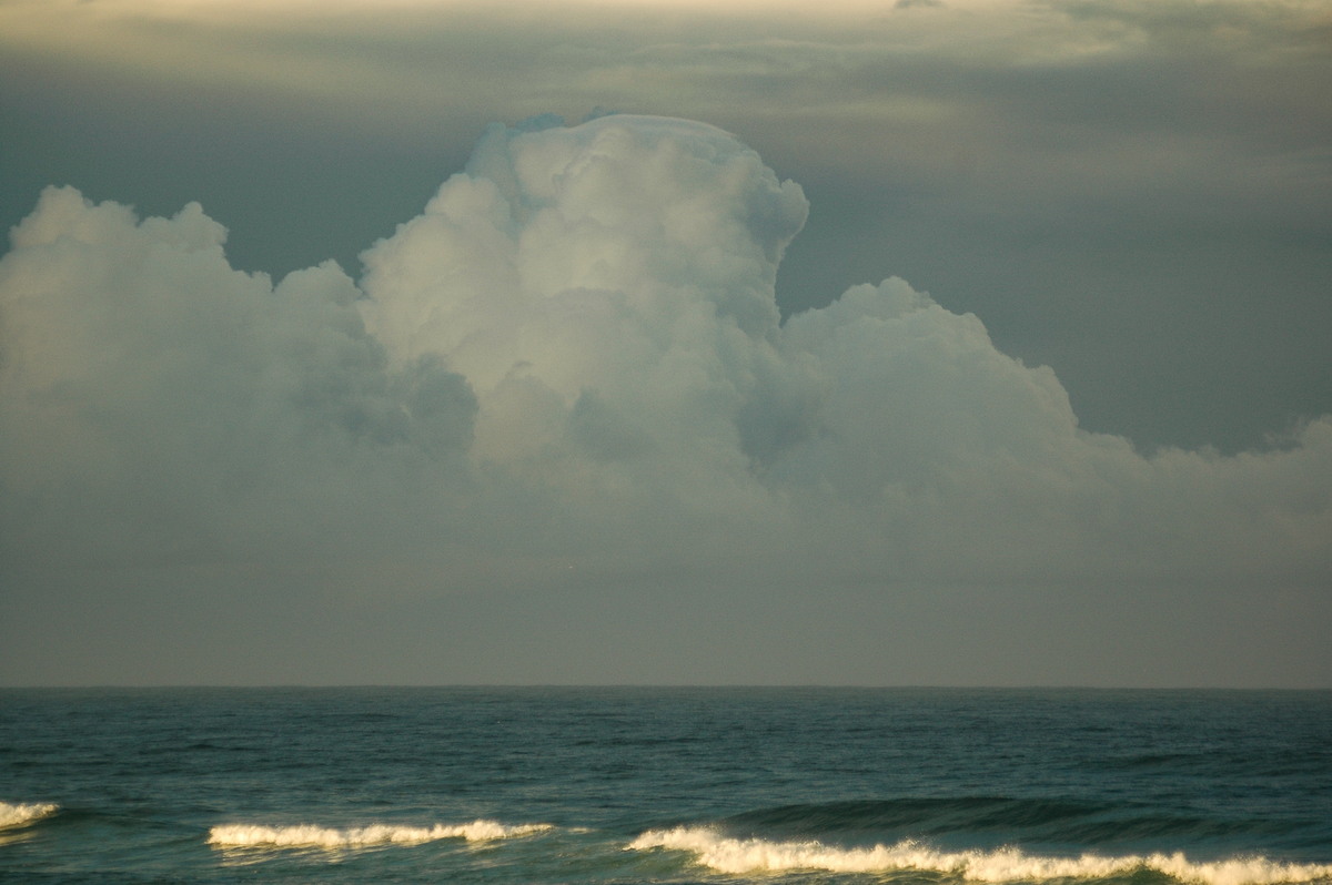 cumulus congestus : Lennox Head, NSW   24 June 2006