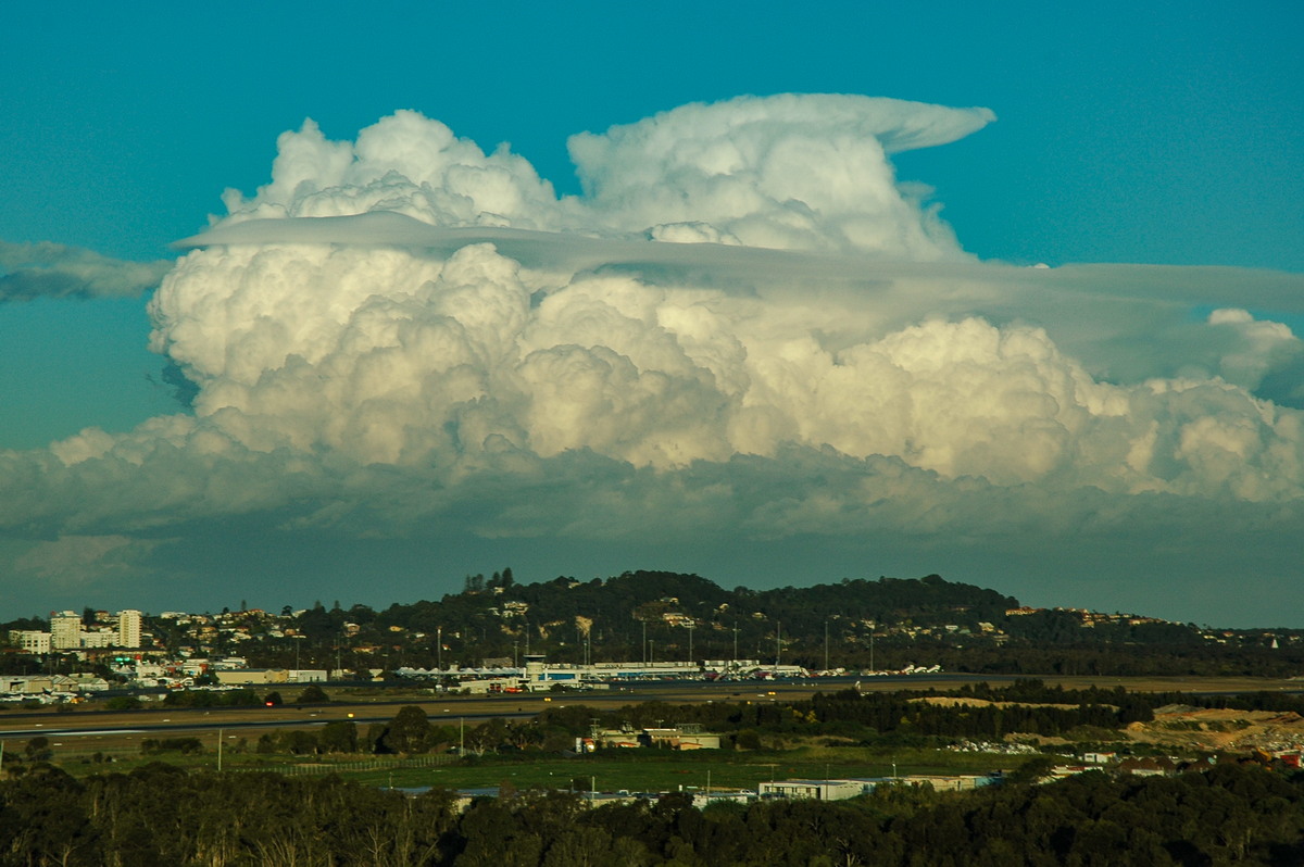 cumulus congestus : Coolangatta, QLD   3 August 2006