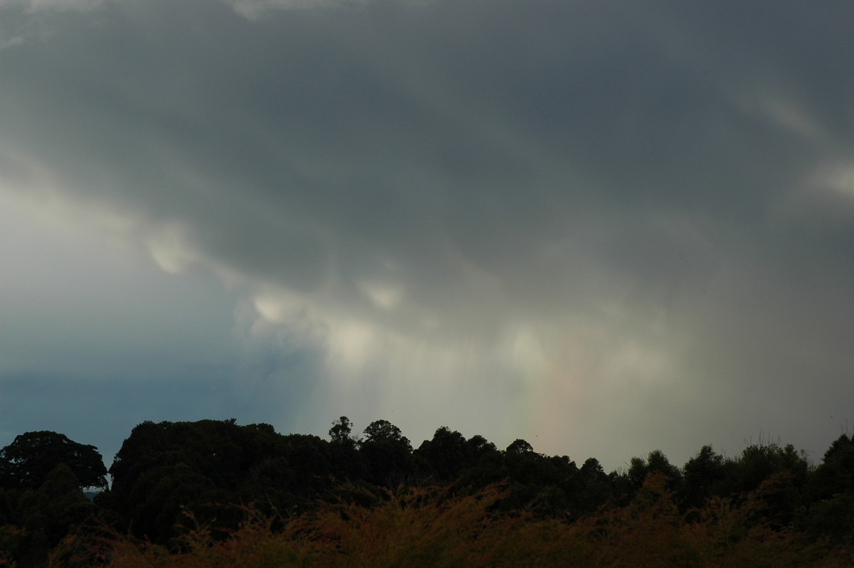 rainbow rainbow_pictures : McLeans Ridges, NSW   4 August 2006