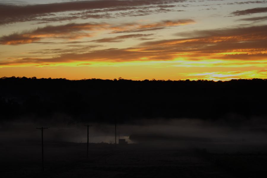 fogmist fog_mist_frost : Schofields, NSW   9 August 2006