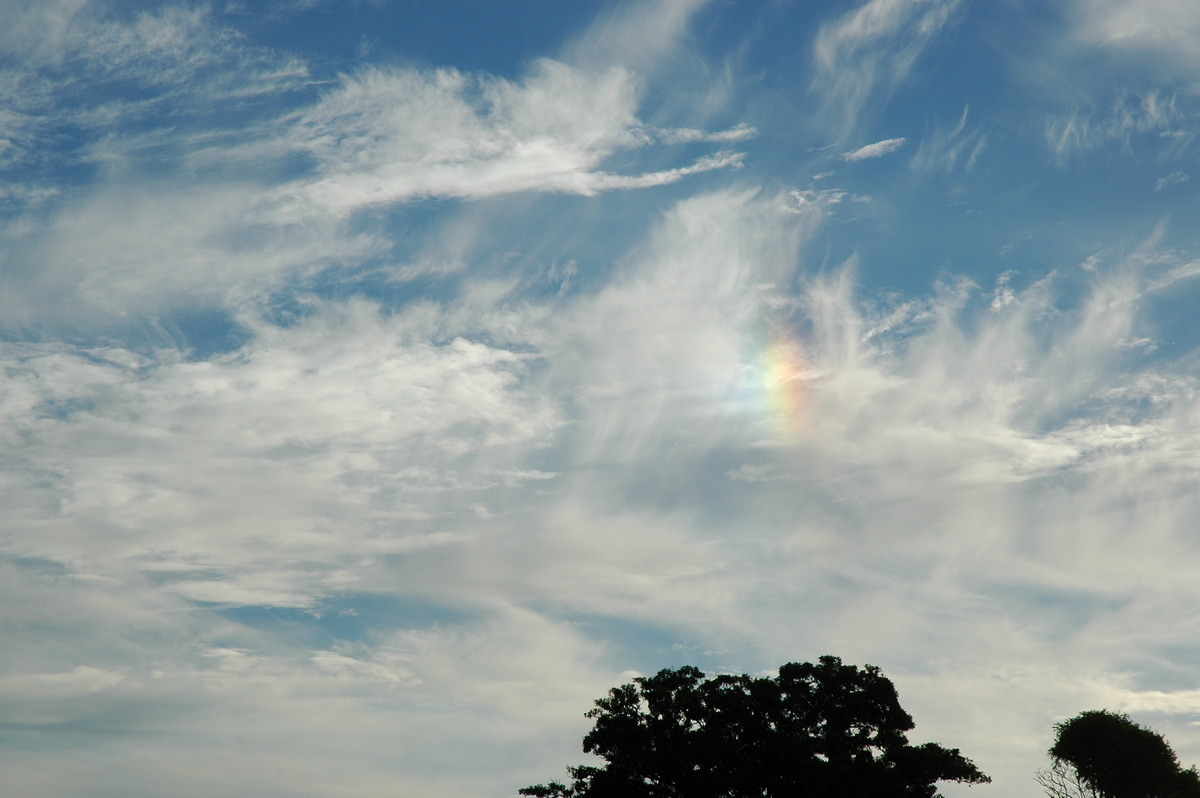 cirrus cirrus_cloud : McLeans Ridges, NSW   17 August 2006