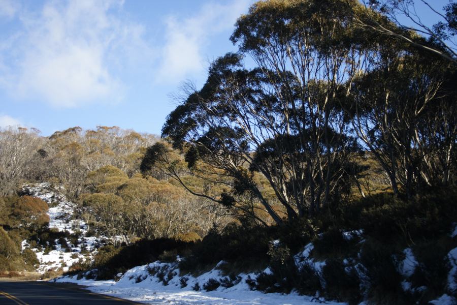 snow snow_pictures : Perisher Valley, NSW   20 August 2006