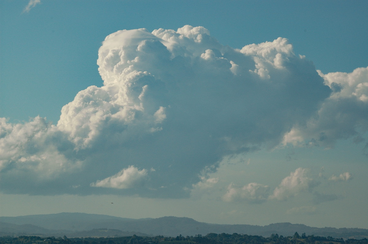 cumulus congestus : McLeans Ridges, NSW   21 August 2006