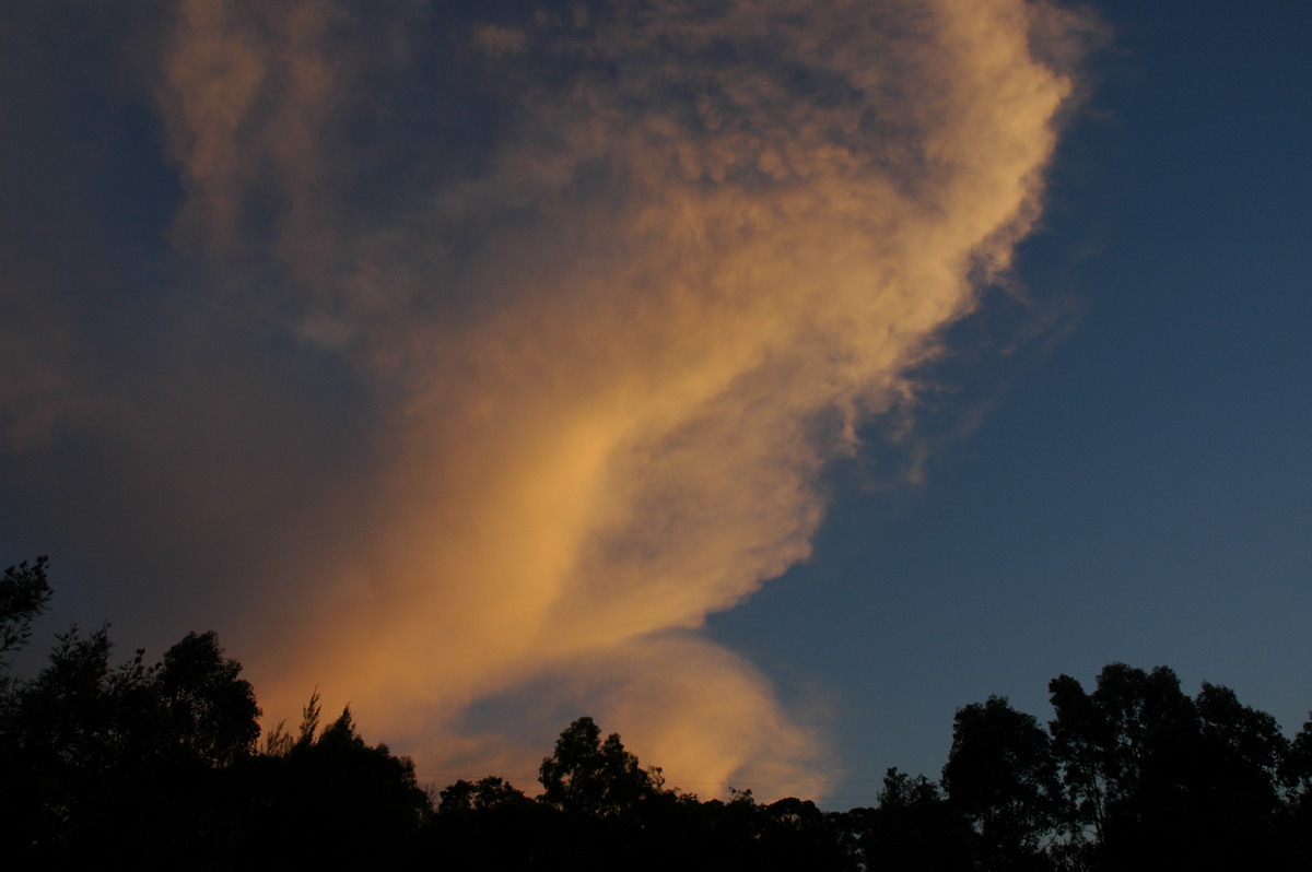 anvil thunderstorm_anvils : McLeans Ridges, NSW   21 September 2006