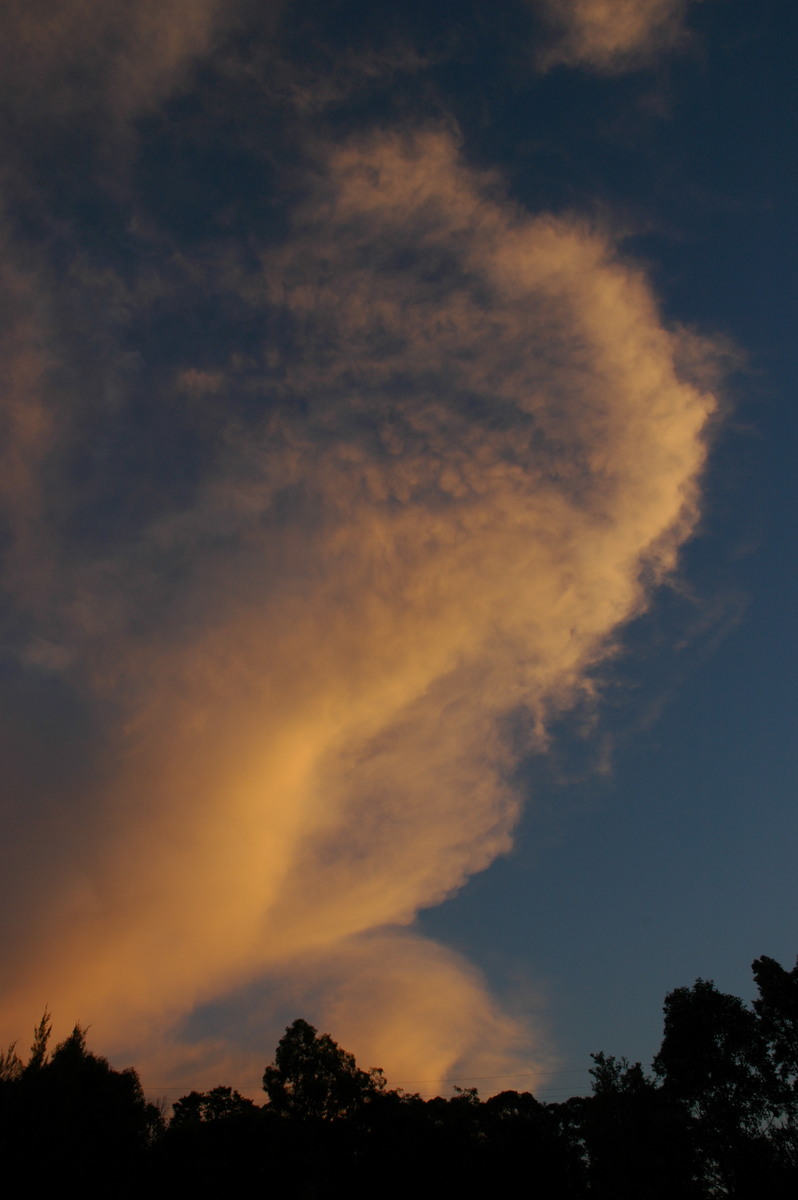 anvil thunderstorm_anvils : McLeans Ridges, NSW   21 September 2006