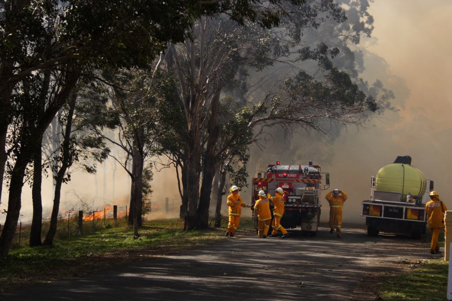 bushfire wild_fire : Scheyville, NSW   24 September 2006